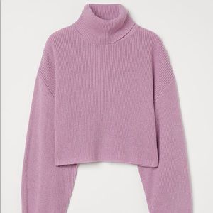 H&M Cropped Turtleneck Sweater